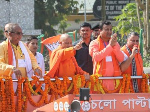 yogi