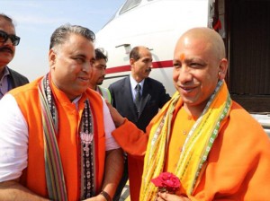 yogi.jpg1