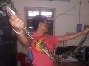 ajagar