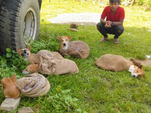 IMG-20190912-WA0050