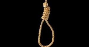 Hanging (5)