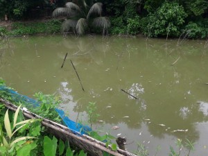 IMG-20200821-WA0084